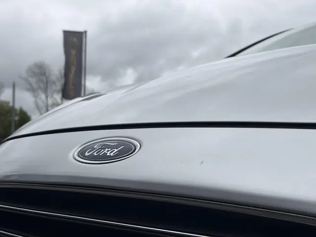 Ford Fiesta 1.0 Champion 2013 Benzine 30