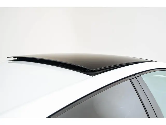 Volkswagen Polo 2.0 TSI GTI 2019 Benzine 8