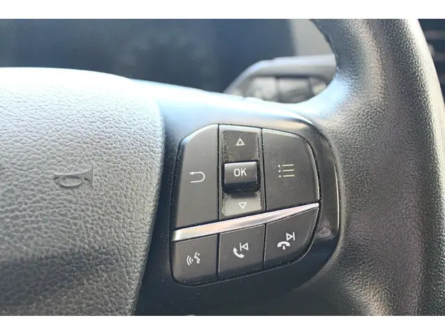 Ford Transit 350 2.0 TDCI L2H2 Trend 2021 Diesel 15