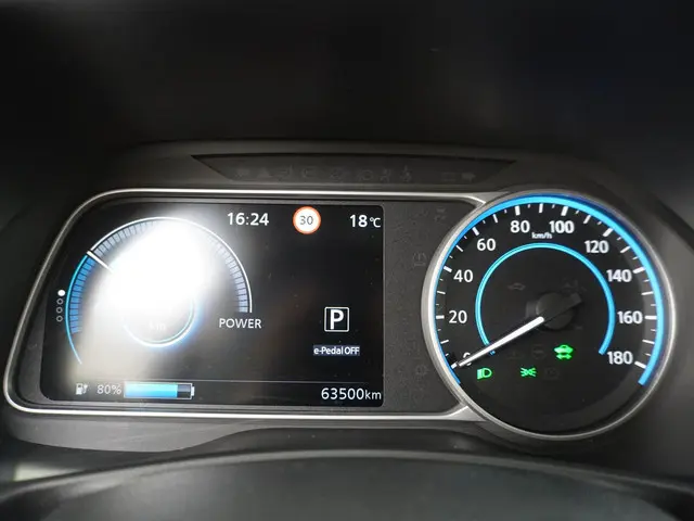 Nissan Leaf Tekna 40 kWh 2019 Elektrisch 31