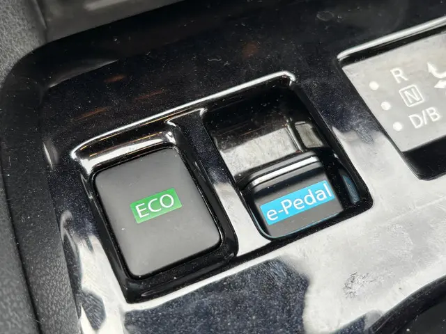 Nissan Leaf N-Connecta 40 kWh 2021 Elektrisch 19