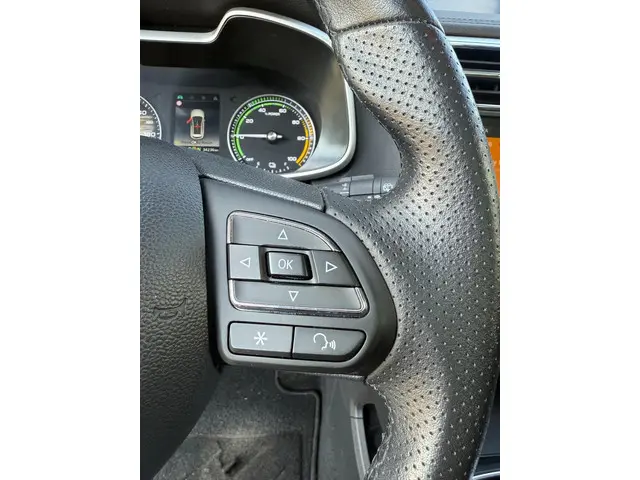 MG MG ZS EV Luxury 45 kWh 2020 Elektrisch 14
