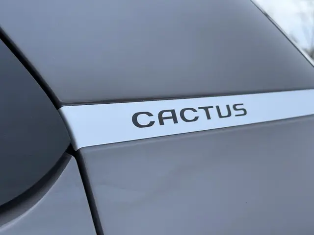 Citroën C4 Cactus 1.2 PureTech Shine 2015 Benzine 29