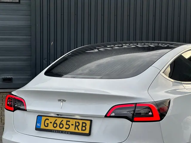 Tesla Model 3 Standard RWD Plus 60 kWh 2019 Elektrisch 11