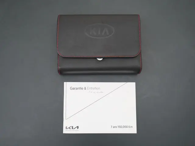 Kia e-Niro Edition 64 kWh 2021 Elektrisch 43