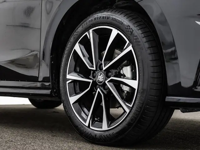 Škoda Fabia 1.0 TSI 115pk DSG Monte Carlo 2025 Benzine 23