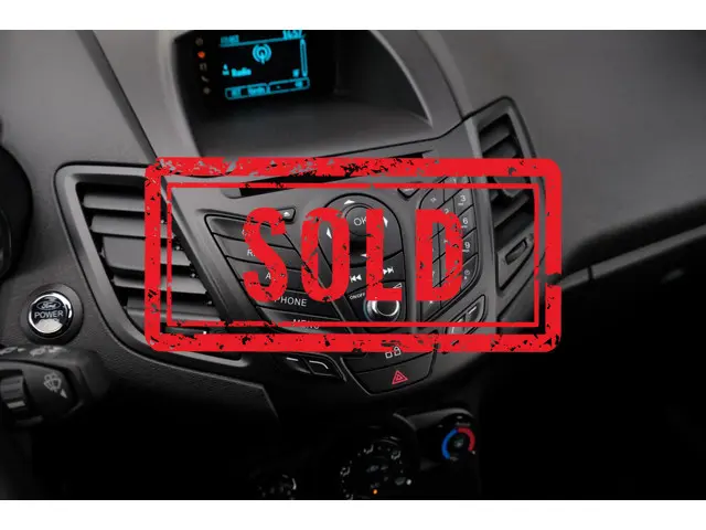 Ford Fiesta VERKOCHT 2013 Benzine 29