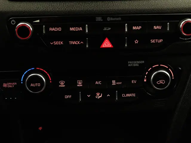 Kia e-Niro ExecutiveLine 64 kWh 2019 Elektrisch 27