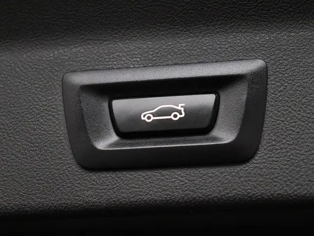 BMW iX3 Executive 80 kWh 2022 Elektrisch 30