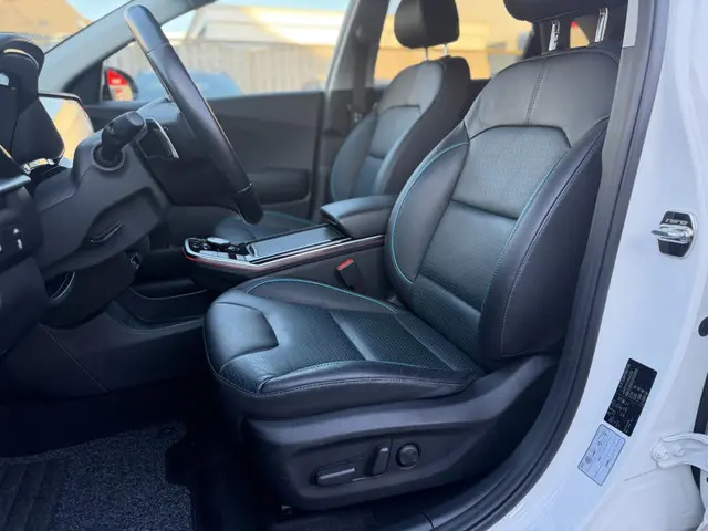 Kia e-Niro Executive 64 kWh VOL OPTIES 2022 Elektrisch 8