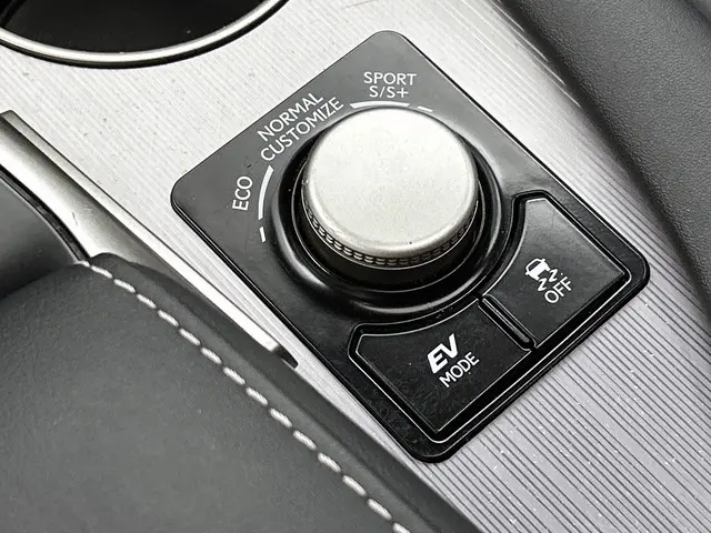 Lexus RX 450h 4WD F Sport Line 2019 Hybride Benzine 49