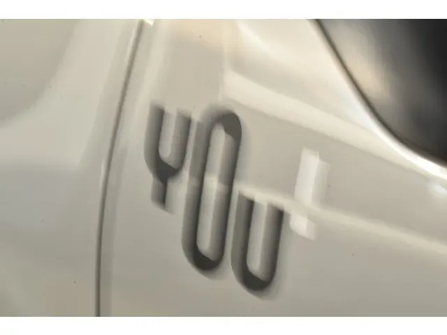 Citroën C3 PureTech 83 You 2024 Benzine 13