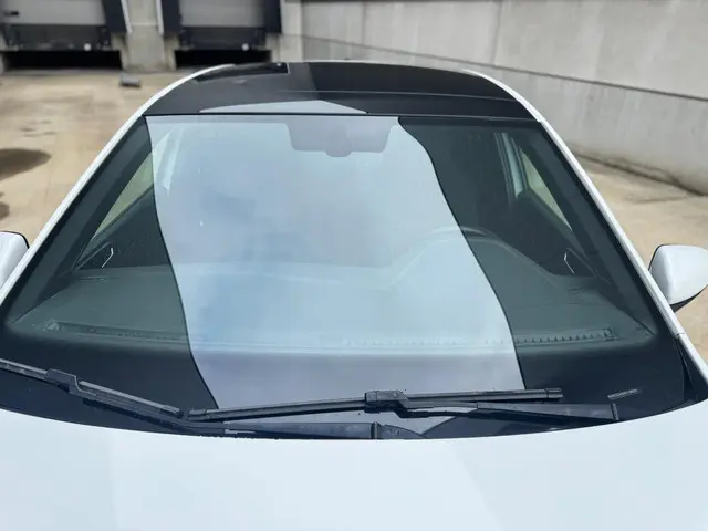 Volkswagen Polo 2.0 TSI GTI 2019 Benzine 10