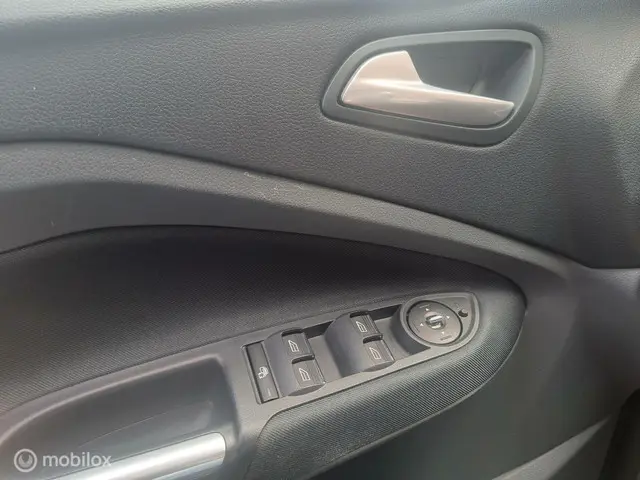 Ford C-MAX 1.6 EcoBoost Titanium/NAVI/TRKHK 2014 Benzine 32