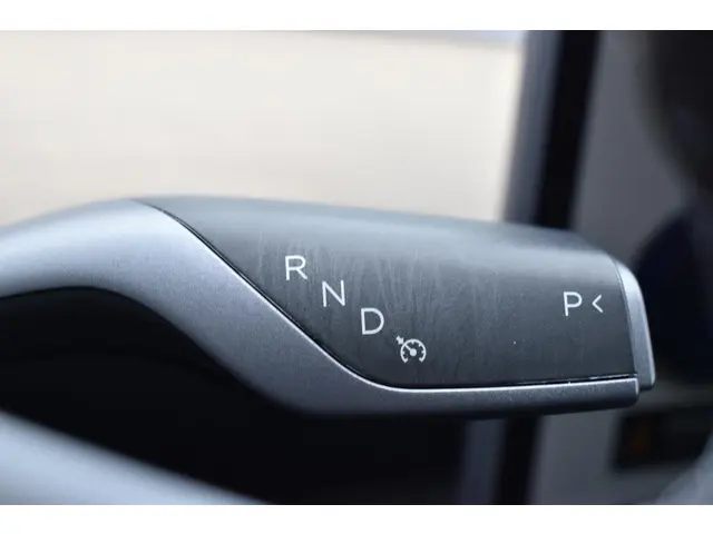 Tesla Model Y Long Range AWD 75 kWh 2021 Elektrisch 19
