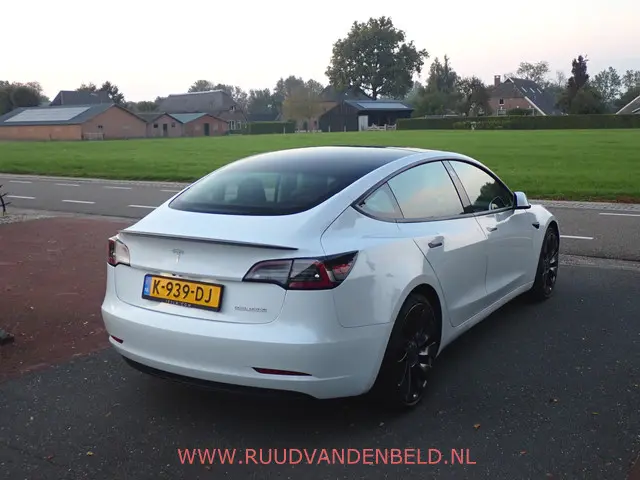 Tesla Model 3 Performance AWD 75kWh 2020 Elektrisch 4