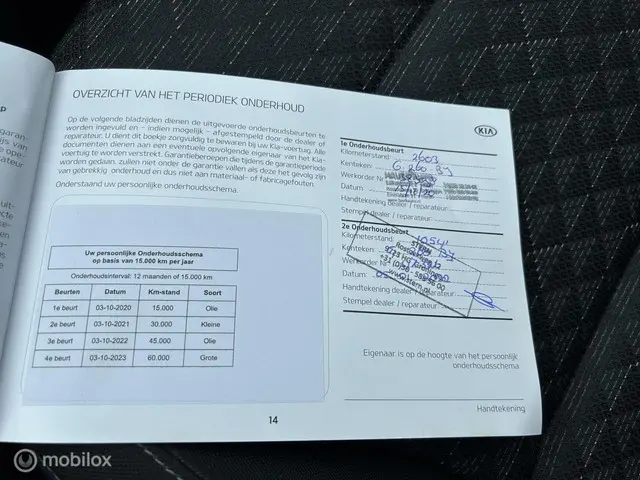 Kia Rio 1.0 TGDI DynamicLine 2019 Benzine 14