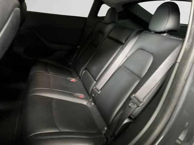 Tesla Model Y RWD 58 kWh 2023 Elektrisch 15