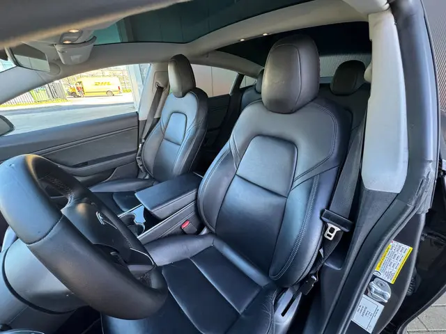 Tesla Model 3 Standard RWD Plus 60 kWh 2019 Elektrisch 16