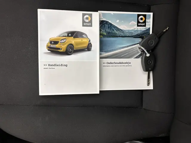 Smart Forfour 1.0 Pure 2016 Benzine 25