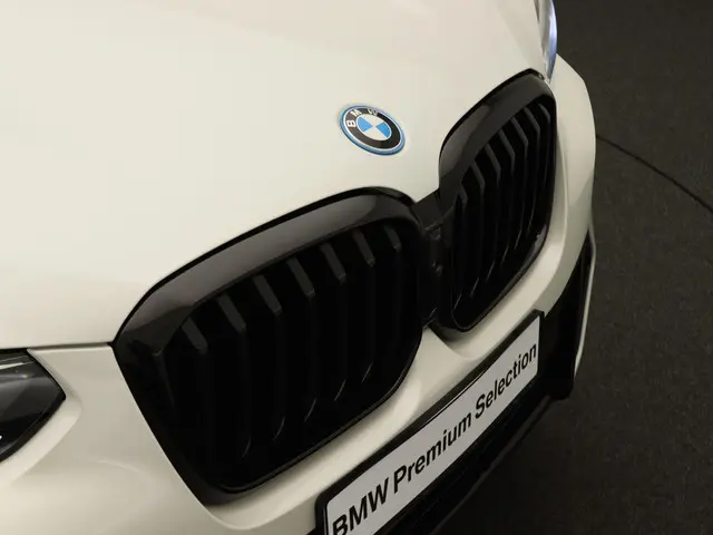 BMW X3 xDrive30e 2022 Hybride Benzine 43