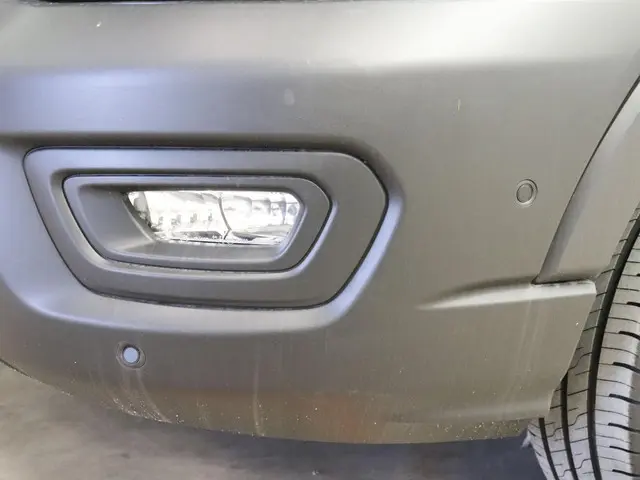 Ford Transit 290 2.0 TDCI L2H2 Trend 2024 Diesel 16