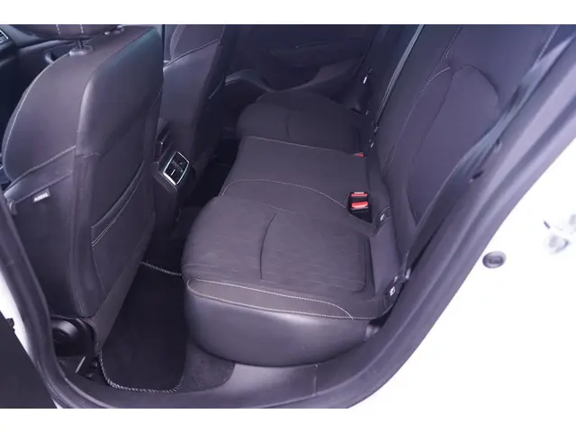 Renault Mégane 1.3 TCe Limited 2019 Benzine 31