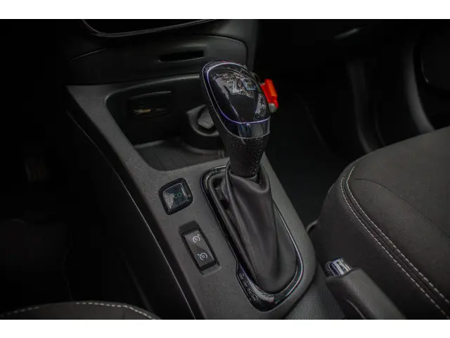 Renault ZOE R110 Limited 41 kWh 2018 Elektrisch 30