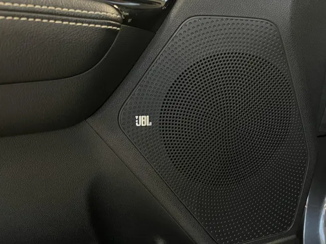 Kia e-Niro ExecutiveLine 64 kWh 2020 Elektrisch 36