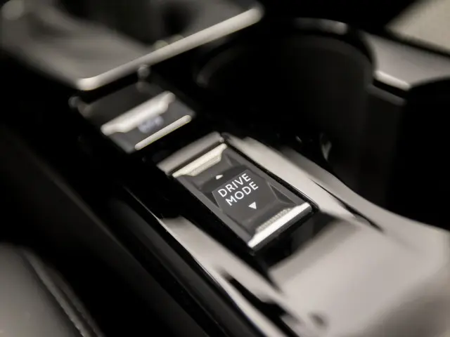 Peugeot 2008 1.2 PureTech GT Line 2020 Benzine 26