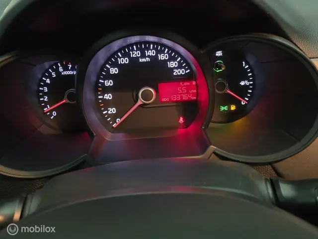 Kia Picanto 1.0 CVVT X-treme✅️Led✅️Airco✅️Apk✅️ 2015 Benzine 17