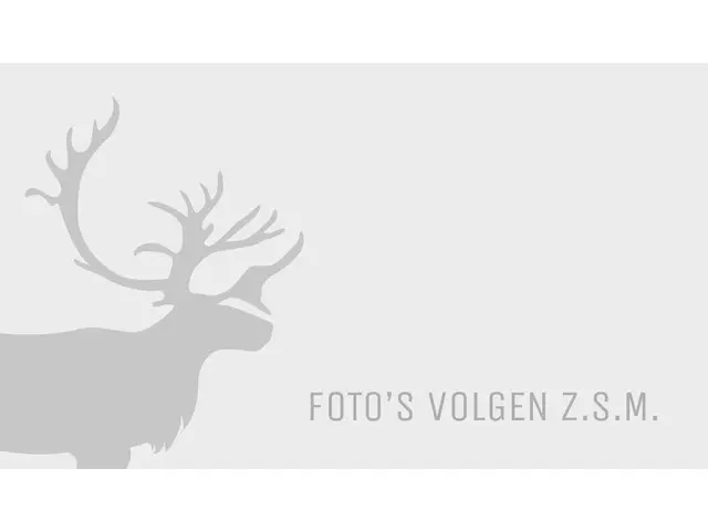 Volvo XC40 Recharge P8 AWD R-Design 2020 Elektrisch