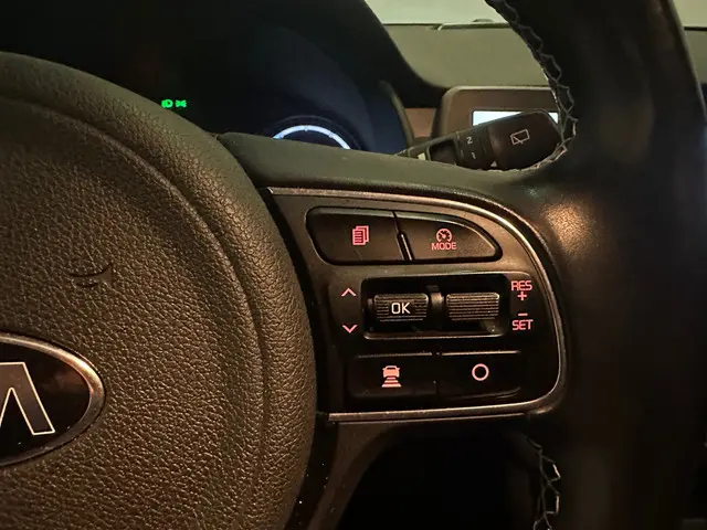 Kia e-Niro ExecutiveLine 64 kWh 2020 Elektrisch 12