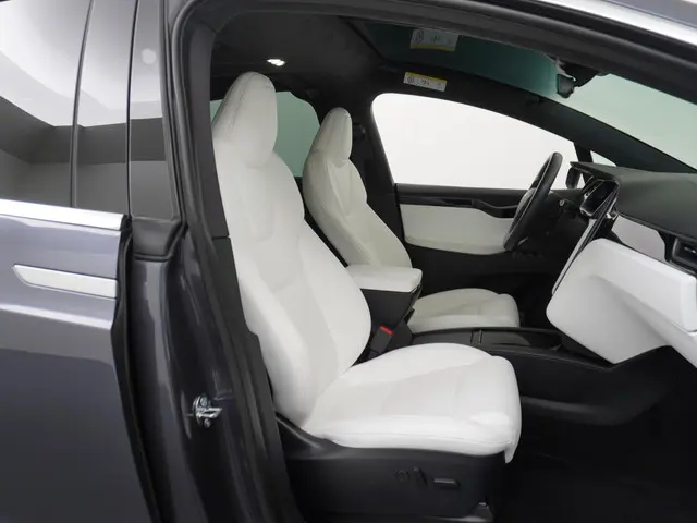 Tesla Model X Long Range 100Kwh 2020 Elektrisch 48