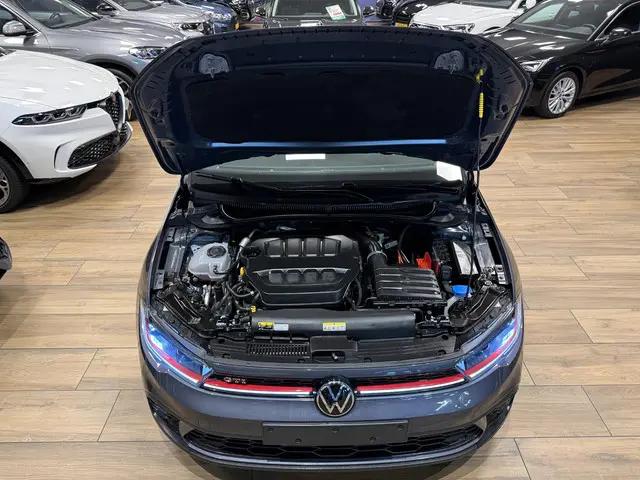 Volkswagen Polo 2.0 TSI GTI 2024 Benzine 36