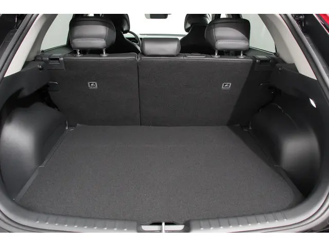 Kia Niro EV DynamicPlusLine 64.8 kWh 2023 Elektrisch 24