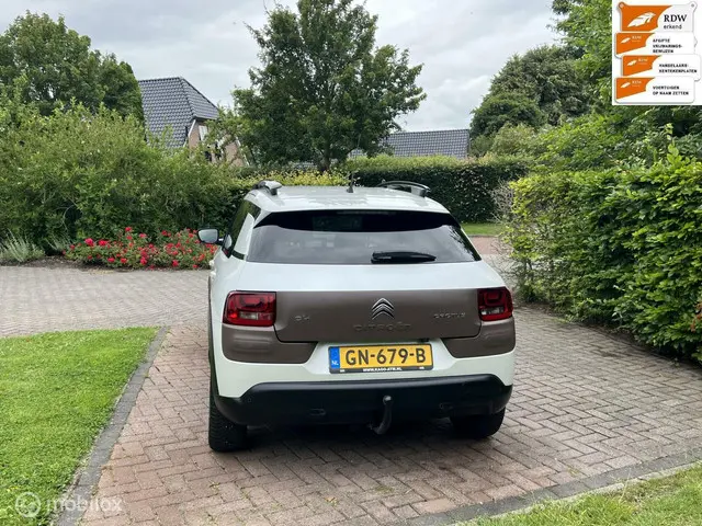 Citroën C4 Cactus 1.2 PureTech Shine 2015 Benzine 8