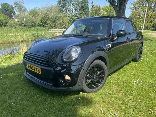 MINI One