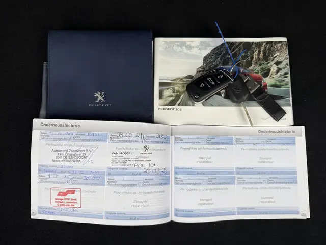 Peugeot 208 1.2 PureTech Style Pack 2015 Benzine 21