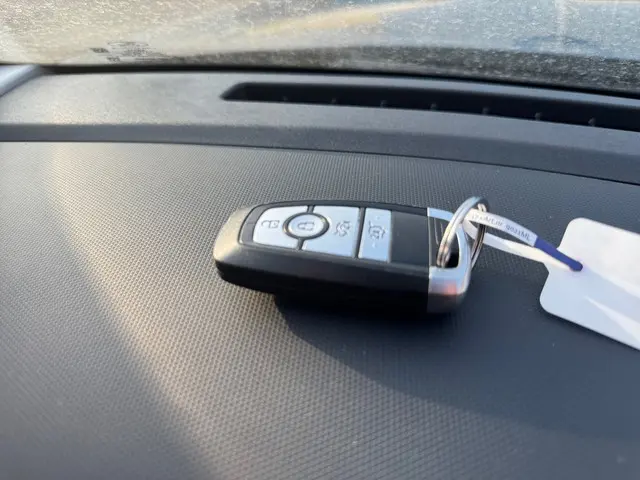 Ford Mustang Mach-E RWD 75 kWh- 2021 Elektrisch 18