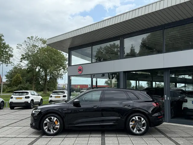 Audi e-tron 50 Aut. Quattro Edition 2020 Elektrisch 3