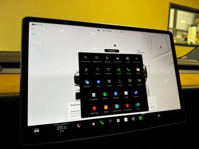 Tesla Model 3 Standard RWD Plus 60 kWh 2022 Elektrisch 29