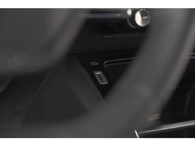 Peugeot 2008 PureTech 130 EAT8 Active 2021 Benzine 41