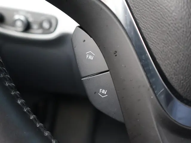 Opel Ampera-e LAUNCH EXECUTIVE 60 KWH 2018 Elektrisch 24