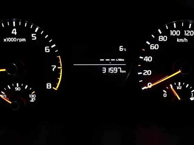 Kia Picanto 1.0 CVVT EconomyPlusLine 2019 Benzine 21