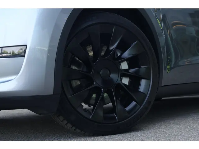 Tesla Model Y Long Range AWD 75 kWh 2023 Elektrisch 5