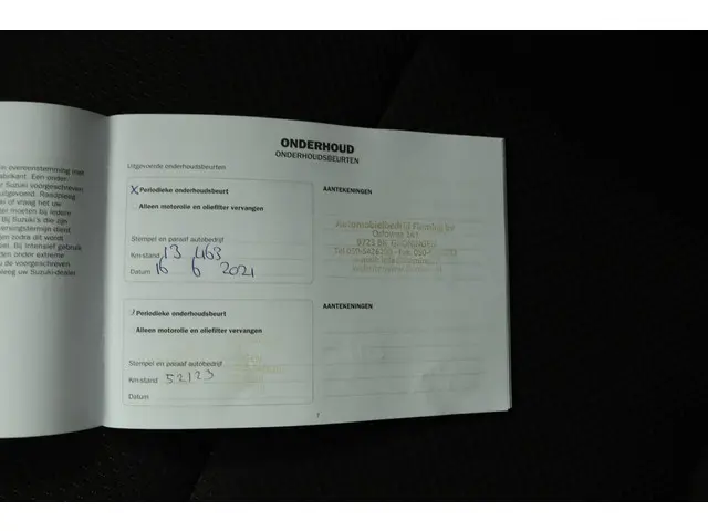Suzuki Ignis 1.2 Smart Hybrid Stijl 2020 Benzine 51