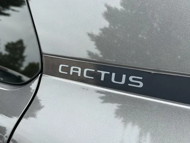 Citroën C4 Cactus 1.2 PureTech Feel 2018 Benzine 32