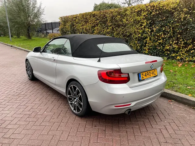 BMW 2 Serie Cabrio 220i 2016 Benzine 7
