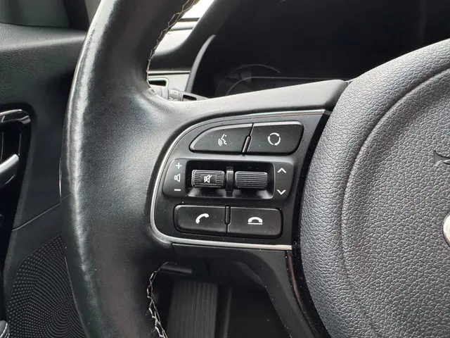 Kia e-Niro ExecutiveLine 64 kWh 2019 Elektrisch 13